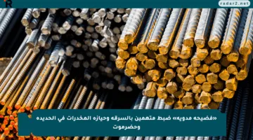 «فضيحة مدوية» ضبط متهمين بالسرقة وحيازة المخدرات في الحديدة وحضرموت